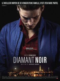 Le diamant noir