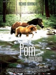 Pom le poulain